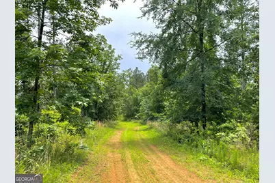 592 Arnold Caldwell Road, Carlton, GA 30627 - Photo 43