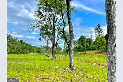 592 Arnold Caldwell Road, Carlton, GA 30627 - Photo 25