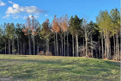 92 Lillian Strong Road, Carlton, GA 30627 - Photo 53