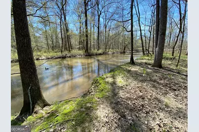 92 Lillian Strong Road, Carlton, GA 30627 - Photo 7