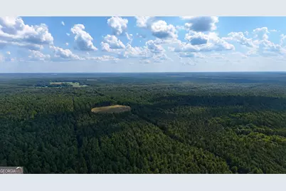 92 Lillian Strong Road, Carlton, GA 30627 - Photo 15
