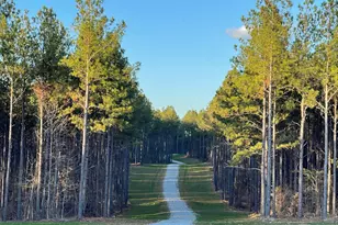 92 Lillian Strong Rd, Carlton, GA 30627 - Photo 1