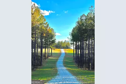 92 Lillian Strong Road, Carlton, GA 30627 - Photo 9