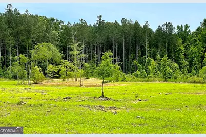 92 Lillian Strong Road, Carlton, GA 30627 - Photo 43