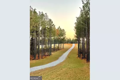92 Lillian Strong Road, Carlton, GA 30627 - Photo 5