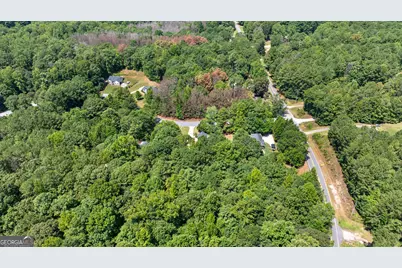 20 Walton Woods Drive, Newnan, GA 30263 - Photo 35