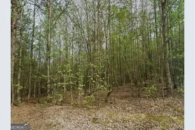 0 Mitchell Road, Maysville, GA 30558 - Photo 1
