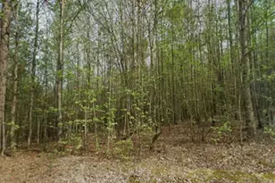 0 Mitchell Rd, Maysville, GA 30558 - Photo 1