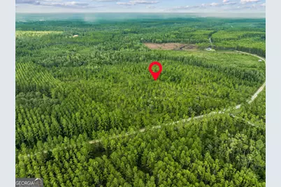 V/L 96 Old Reserve Road, White Oak, GA 31568 - Photo 13