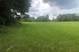 517 Trice Cemetery Rd, Thomaston, GA 30286 - Photo 25