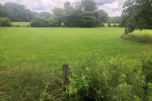517 Trice Cemetery Rd, Thomaston, GA 30286 - Photo 29