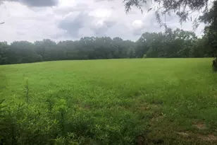 517 Trice Cemetery Rd, Thomaston, GA 30286 - Photo 31