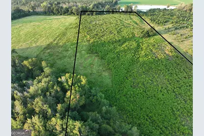 0 Oak Tree Road #(31.62 AC), Metter, GA 30439 - Photo 17