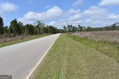 0 Oak Tree Road #(31.62 AC), Metter, GA 30439 - Photo 3