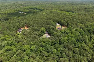 260 Nixon Rd, Senoia, GA 30276 - Photo 69