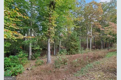 0 Ammons Drive, Waleska, GA 30183 - Photo 3