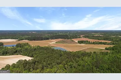 0 Middleground Road #TRACT 3, Statesboro, GA 30461 - Photo 3