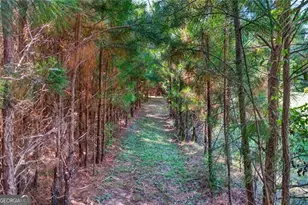 961 Birdie Rd, Griffin, GA 30223 - Photo 85