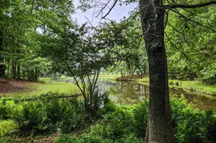 961 Birdie Rd, Griffin, GA 30223 - Photo 75