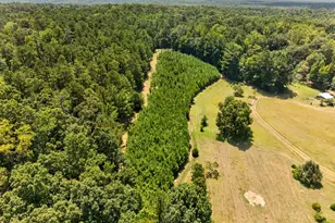 961 Birdie Rd, Griffin, GA 30223 - Photo 113