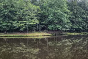 961 Birdie Rd, Griffin, GA 30223 - Photo 81
