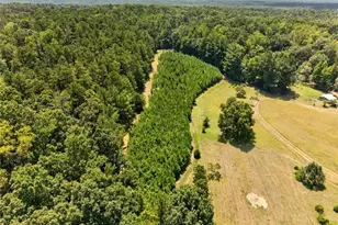 961 Birdie Rd, Griffin, GA 30223 - Photo 113
