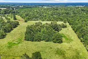 1010 Frank Cook Rd, Cochran, GA 31014 - Photo 77