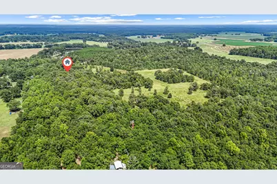 1010 Frank Cook Road, Cochran, GA 31014 - Photo 79