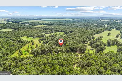 1010 Frank Cook Road, Cochran, GA 31014 - Photo 81