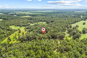 1010 Frank Cook Rd, Cochran, GA 31014 - Photo 81