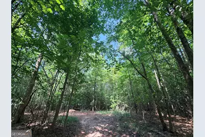 8 Bunch Road, Tignall, GA 30668 - Photo 25