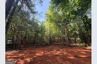 8 Bunch Road, Tignall, GA 30668 - Photo 61