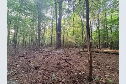 8 Bunch Road, Tignall, GA 30668 - Photo 7