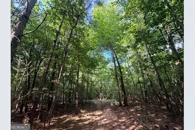 8 Bunch Road, Tignall, GA 30668 - Photo 51