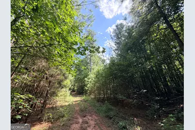 8 Bunch Road, Tignall, GA 30668 - Photo 35