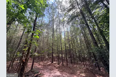 8 Bunch Road, Tignall, GA 30668 - Photo 31
