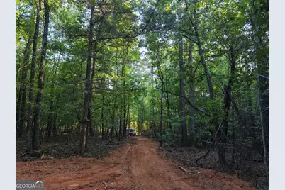 8 Bunch Road, Tignall, GA 30668 - Photo 77