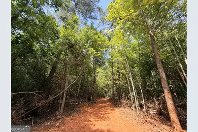 8 Bunch Road, Tignall, GA 30668 - Photo 19