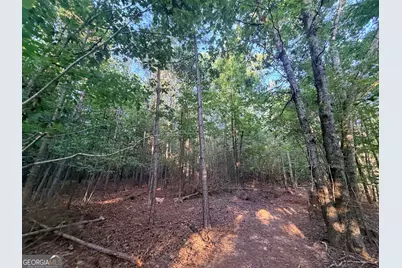 8 Bunch Road, Tignall, GA 30668 - Photo 79
