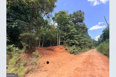 8 Bunch Road, Tignall, GA 30668 - Photo 41