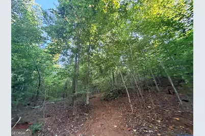 8 Bunch Road, Tignall, GA 30668 - Photo 81