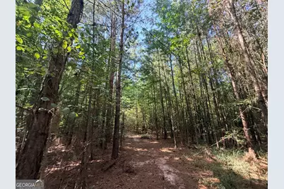 8 Bunch Road, Tignall, GA 30668 - Photo 47