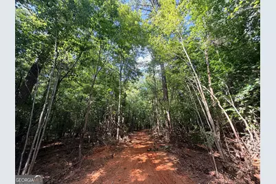 8 Bunch Road, Tignall, GA 30668 - Photo 39