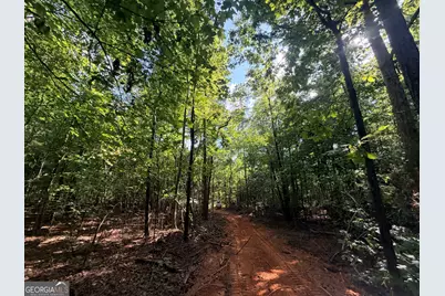 8 Bunch Road, Tignall, GA 30668 - Photo 63