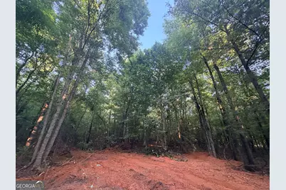 8 Bunch Road, Tignall, GA 30668 - Photo 75