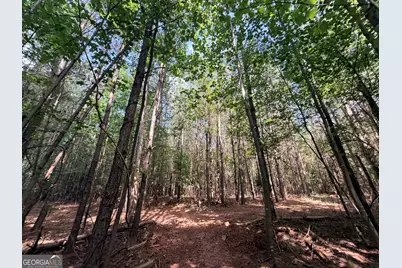 8 Bunch Road, Tignall, GA 30668 - Photo 27