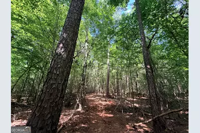 8 Bunch Road, Tignall, GA 30668 - Photo 23