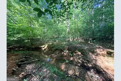 8 Bunch Road, Tignall, GA 30668 - Photo 3
