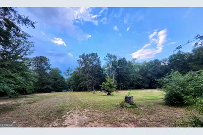482 Campers Haven Road, Vienna, GA 31092 - Photo 3