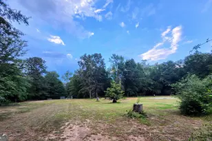 482 Campers Haven Rd, Vienna, GA 31092 - Photo 3